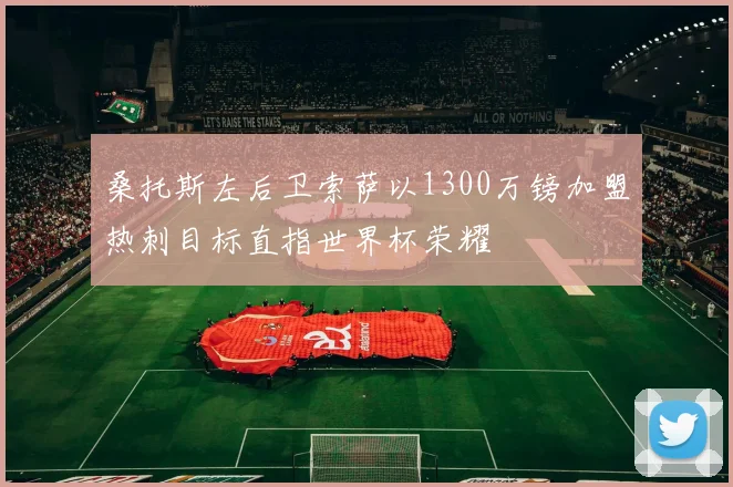 桑托斯左后卫索萨以1300万镑加盟热刺目标直指世界杯荣耀