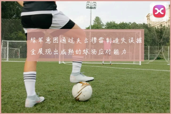 绿军意图通过夹击穆雷制造失误掘金展现出成熟的球场应对能力