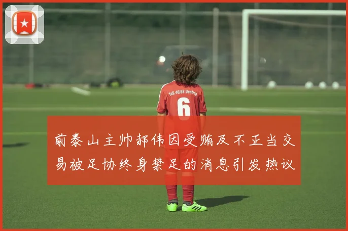 前泰山主帅郝伟因受贿及不正当交易被足协终身禁足的消息引发热议